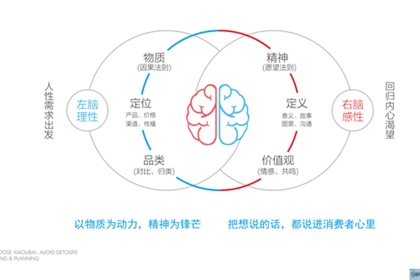品牌形象设计包括哪些内容？