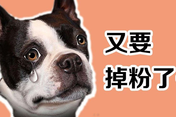 公众号重大改版，小编们哭晕在厕所
