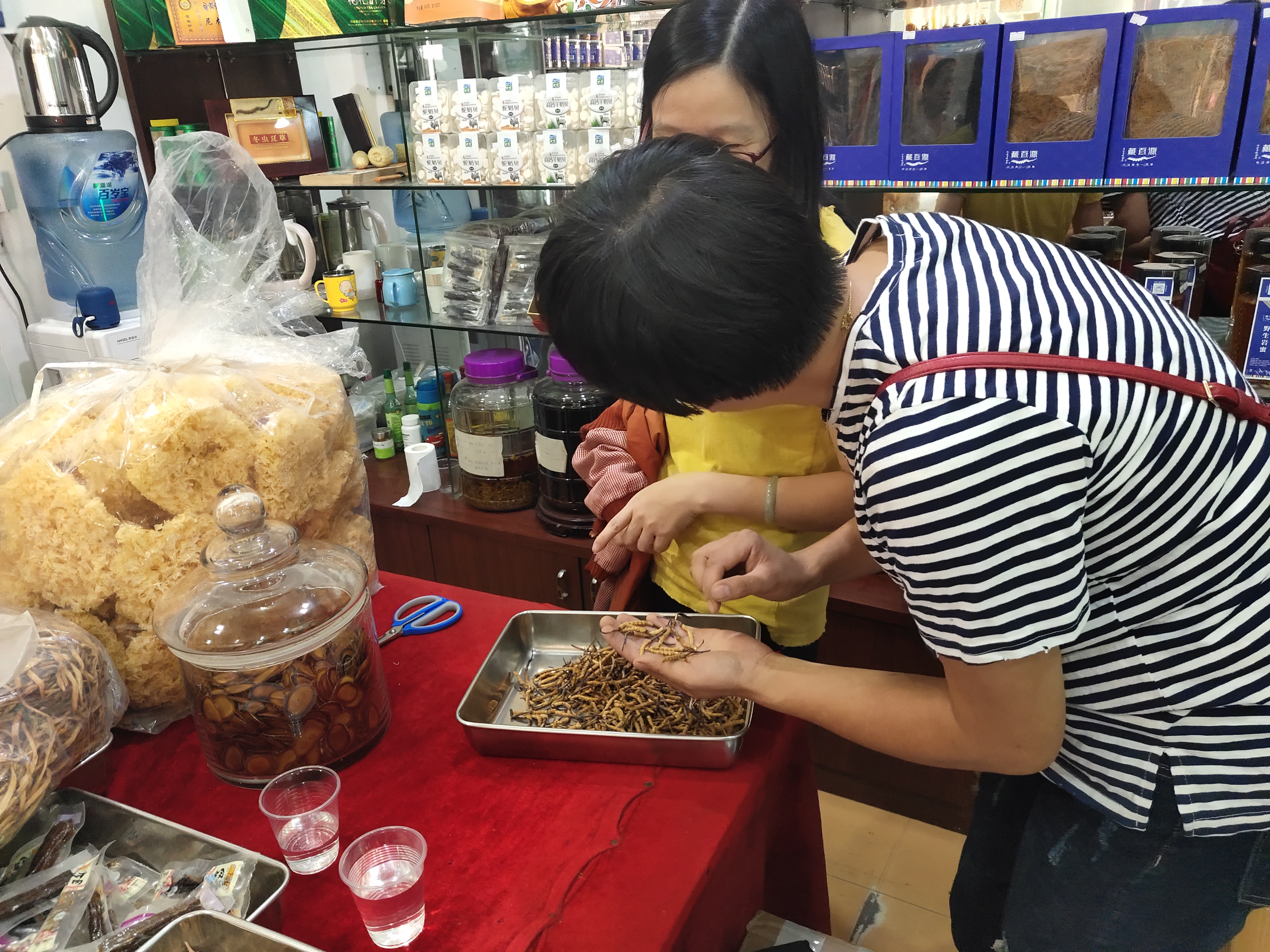 市场调研一般调研什么东西
