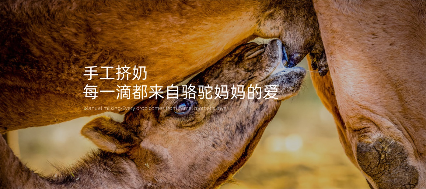 怎么选十大品牌策划公司?