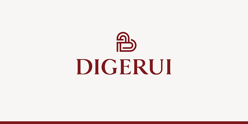 蒂阁瑞女包品牌形象设计