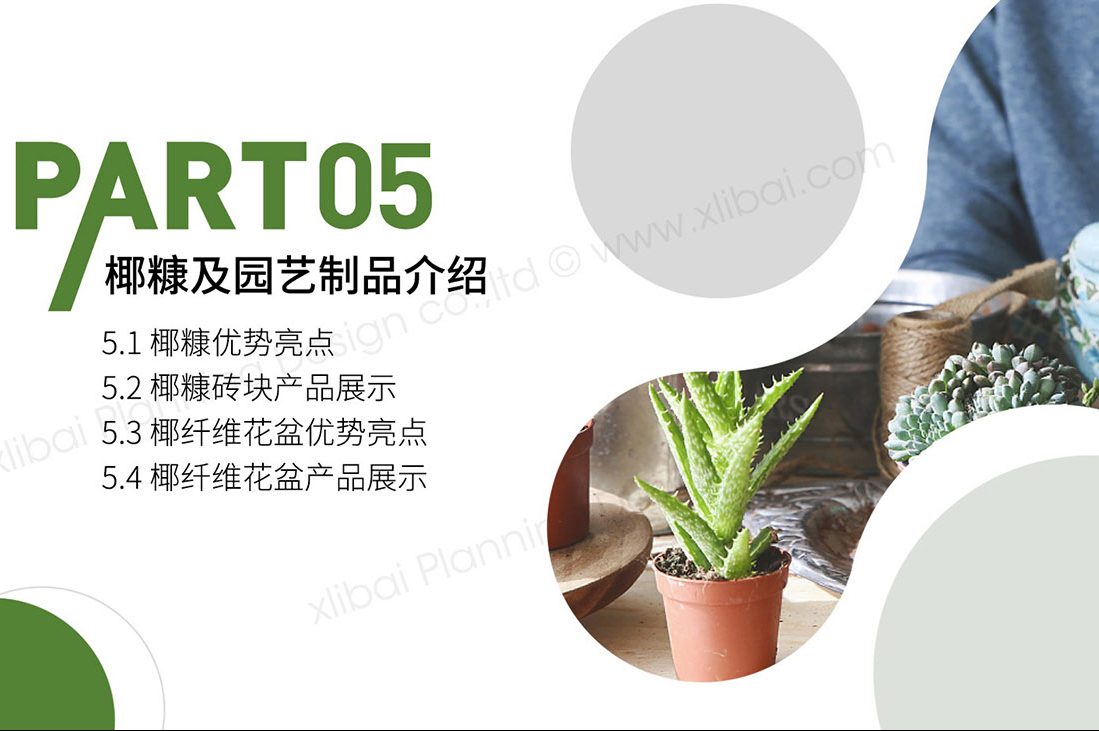 是什么让“农业品牌化”迅速崛起?