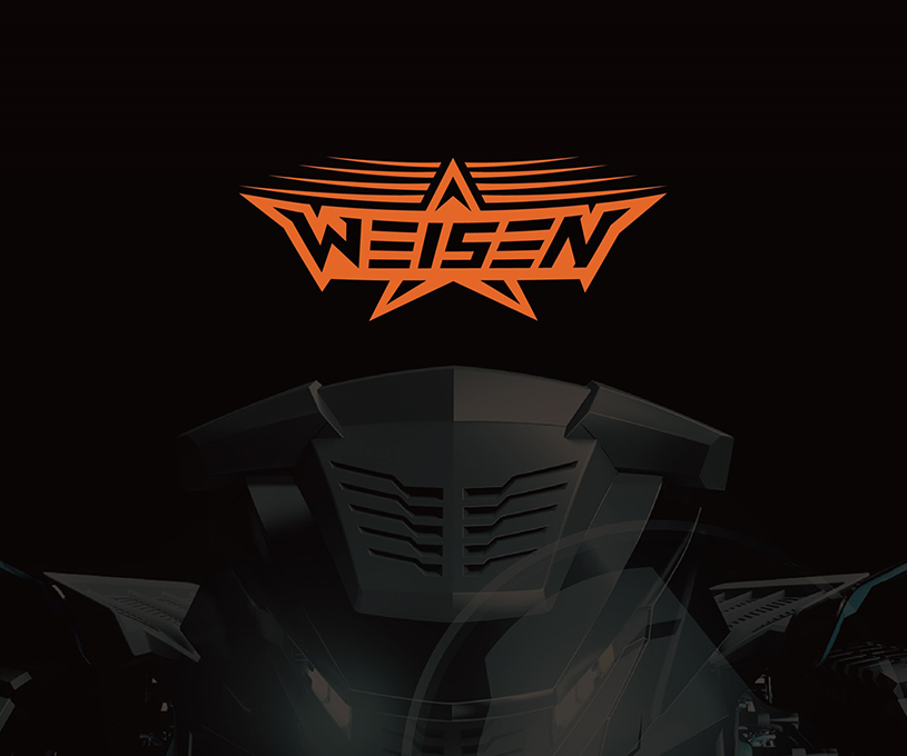 WeiSen维森品牌视觉形象设计
