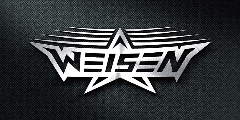 WeiSen维森品牌视觉形象设计