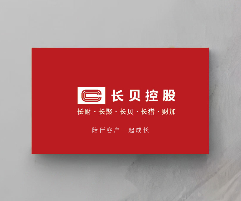 品牌设计_长财咨询品牌视觉设计